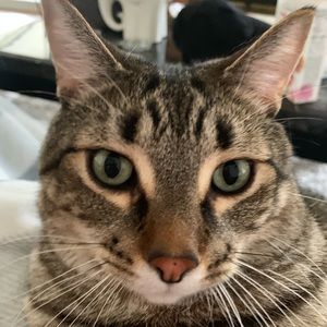 Meet your Posher, Erika